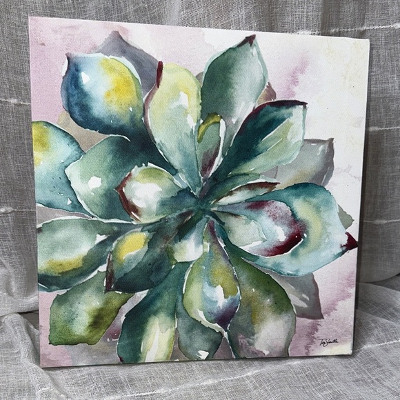 Tre Sorelle Studios "Succulent Watercolor 11" Art Print 11" Stretched Canvas EUC - Picture 3 of 7